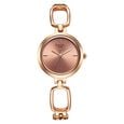 Titan Raga Quartz Analog Rose Gold Round Dial Rose Gold Metal Strap Watch For Women - image number 0