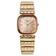 Titan Raga Glimmers Quartz Analog Rose Gold Dial Rose Gold Metal Strap Watch For Women - image number 1