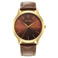 Titan Karishma Radiance Brown Dial Analog Leather Strap watch for Men - image number 2