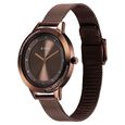 Titan Razzle Dazzle Quartz Analog Brown Dial Stainless Steel Mesh Strap Watch For Women - image number 2