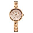 Titan Raga Contempore Quartz Analog Rose Gold Mother Of Pearl Dial Metal Strap Watch For Women - image number 1