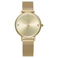 Poze by Sonata Quartz Analog Silver Dial Stainless Steel Strap Watch for Women