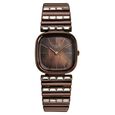 Titan Raga Glimmers Quartz Analog Brown Mother Of Pearl Dial Brown Metal Strap Watch For Women - image number 1