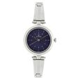 Titan Karishma Blue Dial Analog Stainless Steel Strap Watch for Women - image number 0