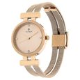 Titan Quartz Analog Rose Gold Dial Stainless Steel Strap Watch for Women - image number 1