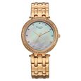 Titan Raga DEC Blaze Quartz Analog Mother of Pearl Dial Rose Gold Metal Strap Watch For Women - image number 0
