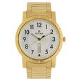 Titan Champagne Dial Analog Stainless Steel Strap Watch for Men