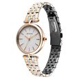 Titan Work Mode Quartz Analog Silver Dial Two Toned Metal Strap Watch For Women - image number 2