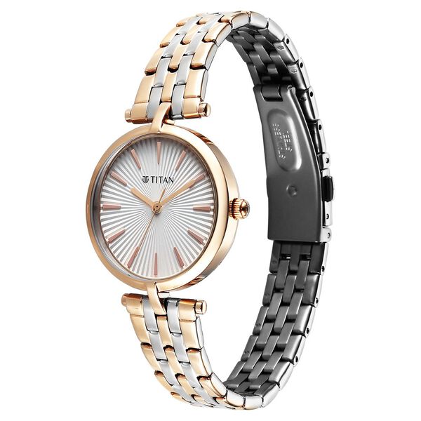 Titan Work Mode Quartz Analog Silver Dial Two Toned Metal Strap Watch For Women - image number 2