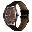 Fastrack Wild Quartz Analog Brown Dial Brown Leather Strap Watch For Guys - image number 5