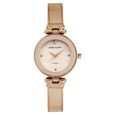 Anne Klein Quartz Analog Mother of Pearl Dial Metal Strap Watch for Women - image number 0