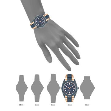 Anne Klein Quartz Analog Blue Dial Rose Gold Plastic Strap Watch For Women