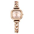 Titan Raga Showstopper Quartz Analog Maroon Dial Metal Strap Watch For Women