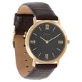 Titan Nebula Vintage 18k Gold Analog Leather Strap Watch For Men - image number 1
