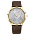 Titan Nebula Deccan Treasures 18k Gold Analog Leather Strap Watch for Men  - image number 2