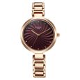 Titan Raga Memoirs Quartz Analog Silver Dial With Silver Color Metal Strap Watch For Women
