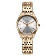 Titan Workmode Quartz Analog Green Dial Stainless Steel Strap Watch For Women