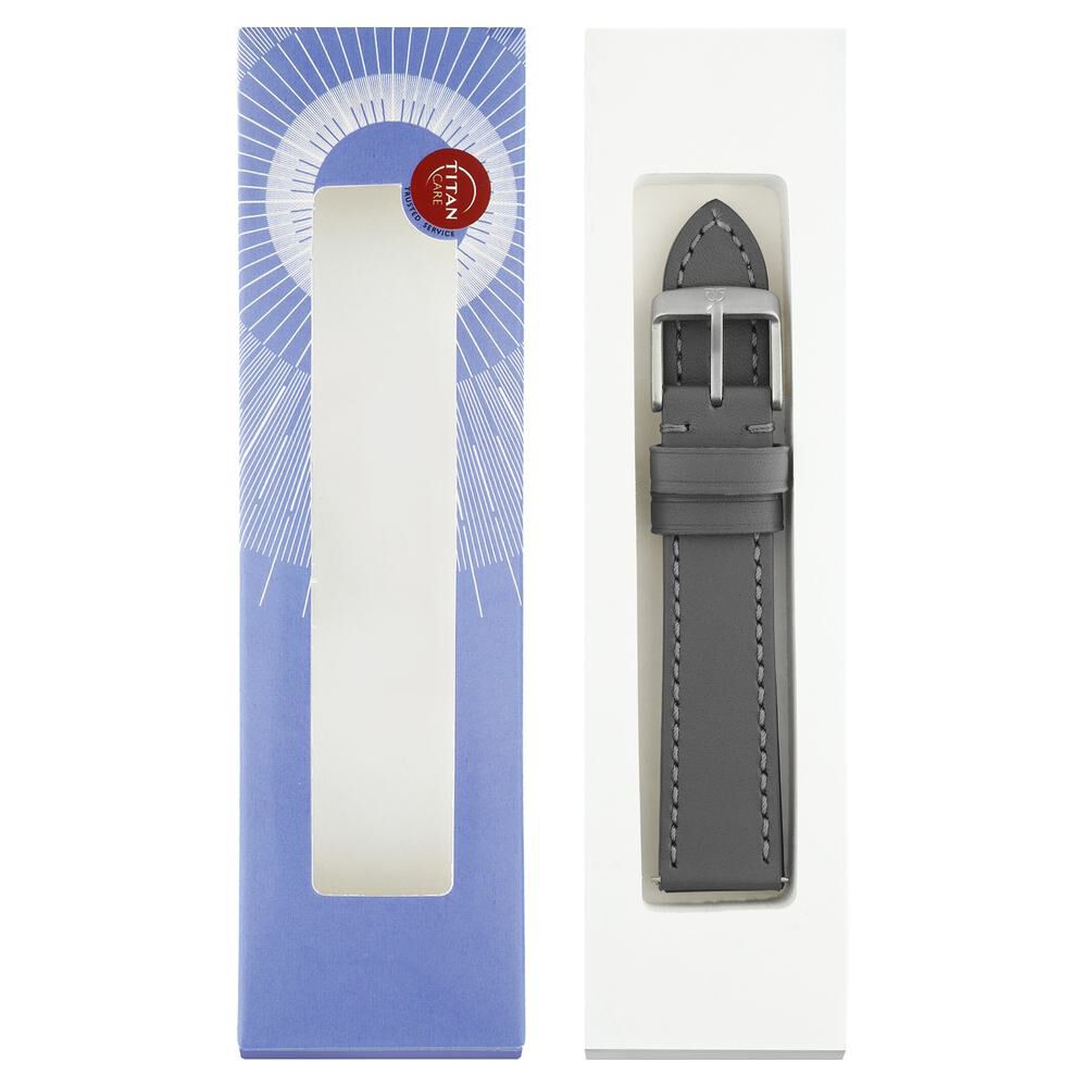 Titan watch straps 20mm on sale