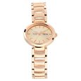 Titan Raga Viva Brown Dial Analog with Day and Date Metal Strap Watch for Women