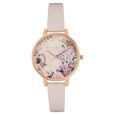 Olivia Burton Quartz Analog Multicoloured Dial Leather Strap Watch for Women - image number 0
