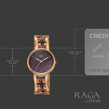 Titan Raga Sierra Quartz Analog Brown Dial Two Toned Metal Strap Watch For Women