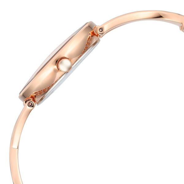 Titan Raga Chic Quartz Analog Rose Gold Dial Metal Strap Watch for Women - image number 3