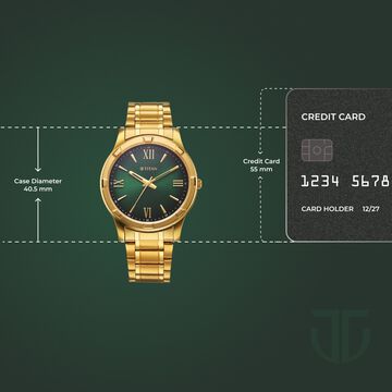 Titan Karishma Quartz Analog Green Dial Golden Stainless Steel Strap Watch For Men