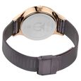 Titan Workwear Brown Dial Quartz Multifunction Metal Strap watch for Women - image number 4
