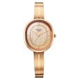 Titan Raga Contempore Quartz Analog Rose Gold Mother Of Pearl Dial Metal Strap Watch For Women - image number 1