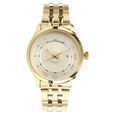 Titan Regalia Sovereign Regalia Sovereign Champagne Dial Analog with Date Stainless Steel Strap Men - image number 0