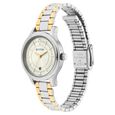 Titan Quartz Analog with Date Silver Dial Metal Strap Watch for Women - image number 2