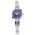 Titan Quartz Analog Silver Dial Golden Metal Strap Watch For Women