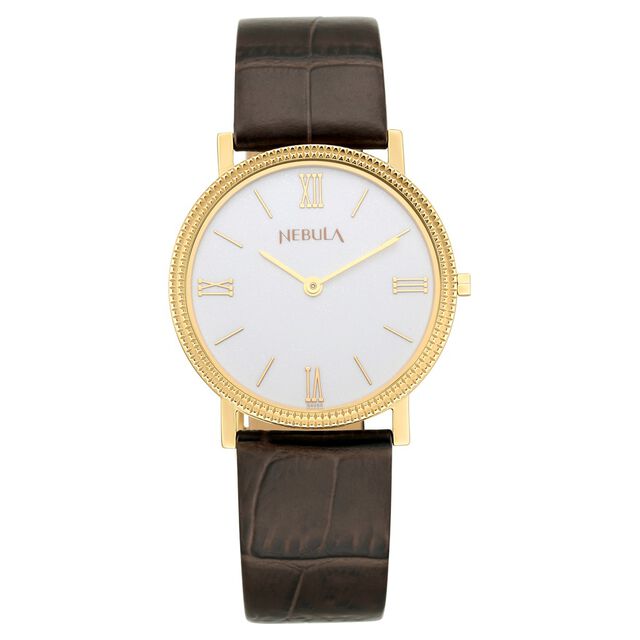 Titan Nebula Vintage 18k Gold Analog Leather Strap Watch for Men 2