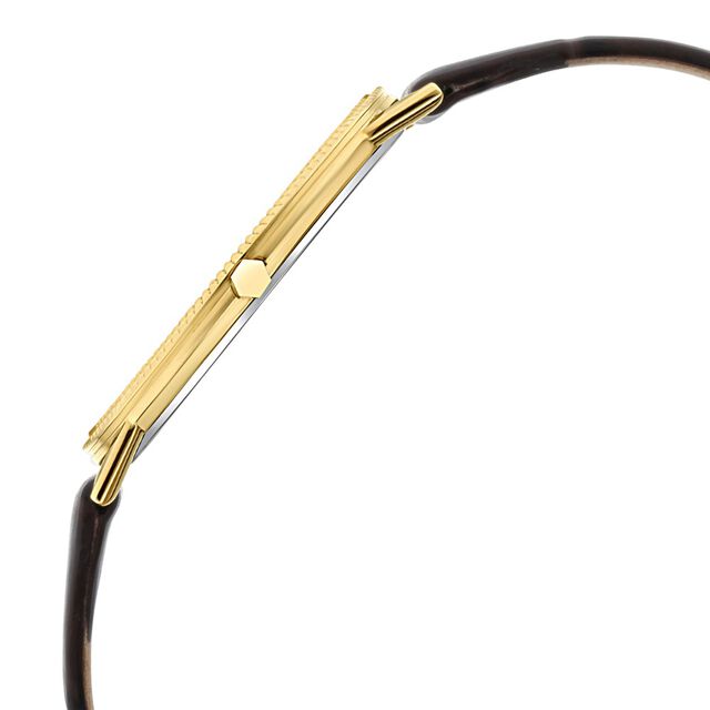 Titan Nebula Vintage 18k Gold Analog Leather Strap Watch for Men 5
