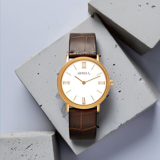 Titan Nebula Vintage 18k Gold Analog Leather Strap Watch for Men 7