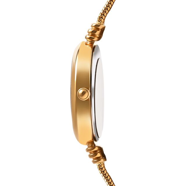 Titan Nebula Vintage 18k Gold Analog Watch for Women 4