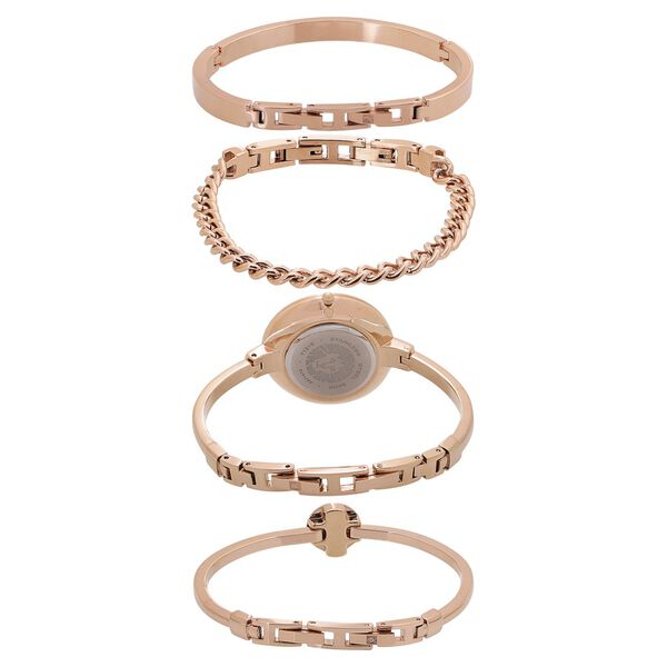Anne Klein Quartz Analog Mother of Pearl Dial Metal Strap Watch for Women - image number 3