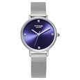 Poze by Sonata Quartz Analog Silver Dial Stainless Steel Strap Watch for Women