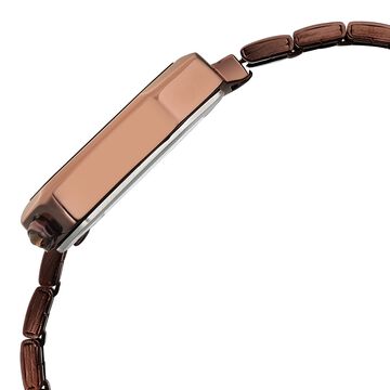 Fastrack Wild Quartz Analog Brown Dial Brown Stainless Steel Strap Watch For Girls