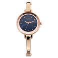 Titan Quartz Analog Blue Dial Metal Strap Watch for Women - image number 0