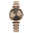 Titan Workmode Quartz Analog Silver Dial Metal Strap watch For Women