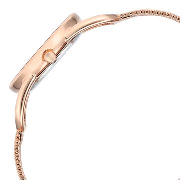 Titan Raga Chic Quartz Analog Pink Dial Metal Strap Watch for Women