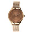 Titan Quartz Analog Rose Gold Dial Stainless Steel Strap Watch for Women - image number 0