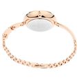 Titan Raga Rongali Multicoloured Dial Analog Metal Strap Watch for Women - image number 4