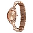 Titan Raga Memoirs Quartz Analog Rose Gold Dial With Rose Gold Metal Strap Watch For Women - image number 2