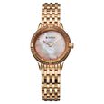 Titan Glamour Quartz Analog Brown Dial Golden Stainless Steel Strap Watch For Women
