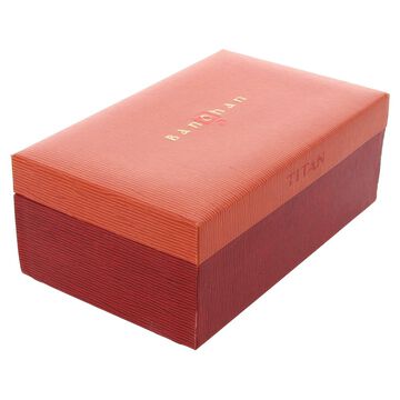 Titan Quartz Analog with Day and Date Champagne Dial Leather Strap Watch for Couple