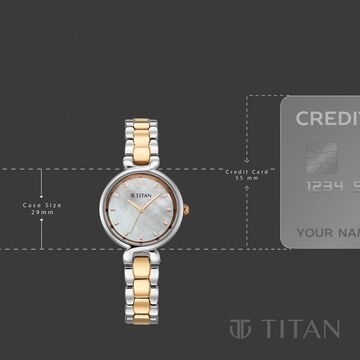 Titan Workday Edit Quartz Analog Mother Of Pearl Dial Two Toned Stainless Steel Strap Watch For Women
