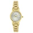 Titan Quartz Analog Grey Dial Stainless Steel Strap Watch for Women - image number 0