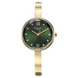 Titan Raga Showstopper Quartz Analog Green Dial Metal Strap Watch for Women - image number 0
